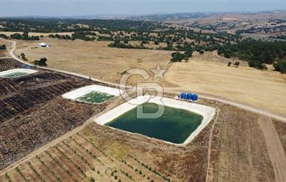 KIRKLARELİ MERKEZ KARAHAMZA KÖYÜNDE SATILIK 79.700 m² TARLA