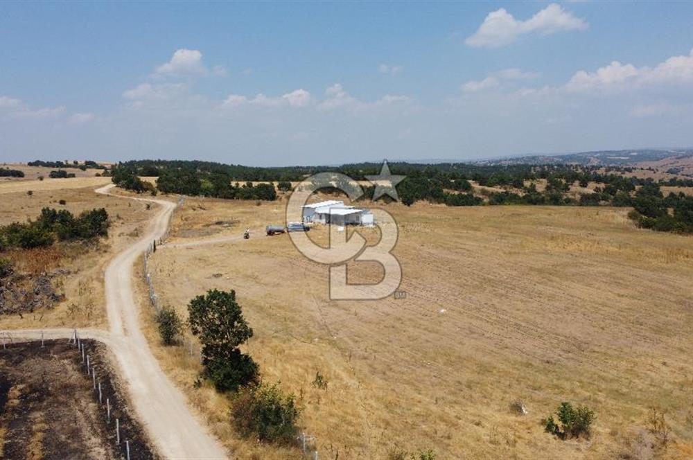 KIRKLARELİ MERKEZ KARAHAMZA KÖYÜNDE SATILIK 79.700 m² TARLA