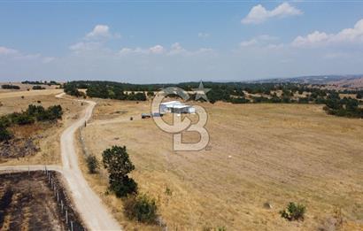 KIRKLARELİ MERKEZ KARAHAMZA KÖYÜNDE SATILIK 79.700 m² TARLA