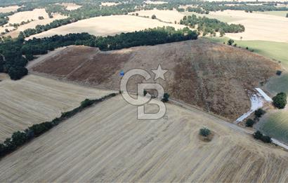 EDİRNE LALAPAŞA ÖMEROBA KÖYÜNDE 64.978 m² - SATILIK TARLA