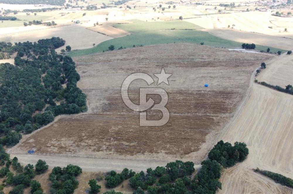 EDİRNE LALAPAŞA ÖMEROBA KÖYÜNDE 64.978 m² - SATILIK TARLA