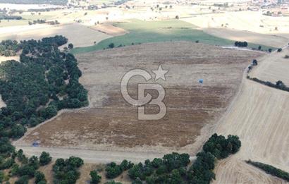 EDİRNE LALAPAŞA ÖMEROBA KÖYÜNDE 64.978 m² - SATILIK TARLA