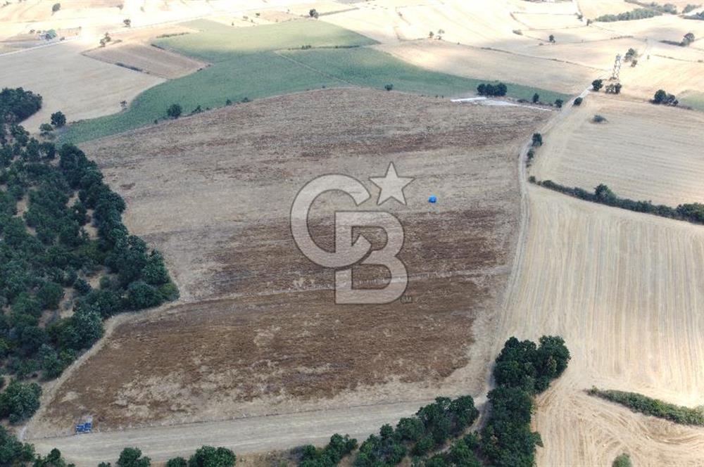 EDİRNE LALAPAŞA ÖMEROBA KÖYÜNDE 64.978 m² - SATILIK TARLA