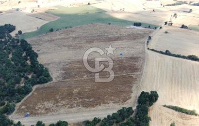 EDİRNE LALAPAŞA ÖMEROBA KÖYÜNDE 64.978 m² - SATILIK TARLA