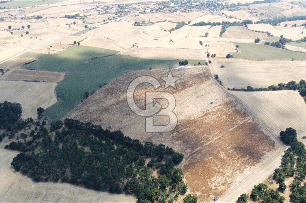 EDİRNE LALAPAŞA ÖMEROBA KÖYÜNDE 64.978 m² - SATILIK TARLA
