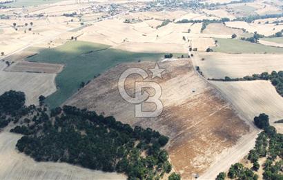 EDİRNE LALAPAŞA ÖMEROBA KÖYÜNDE 64.978 m² - SATILIK TARLA