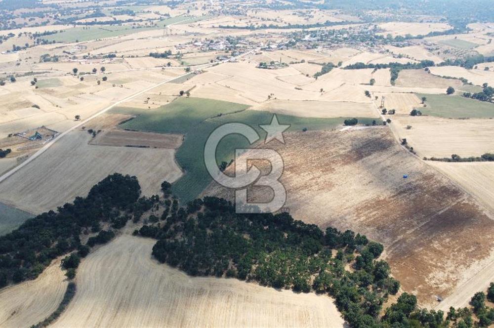 EDİRNE LALAPAŞA ÖMEROBA KÖYÜNDE 64.978 m² - SATILIK TARLA
