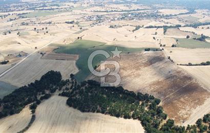 EDİRNE LALAPAŞA ÖMEROBA KÖYÜNDE 64.978 m² - SATILIK TARLA