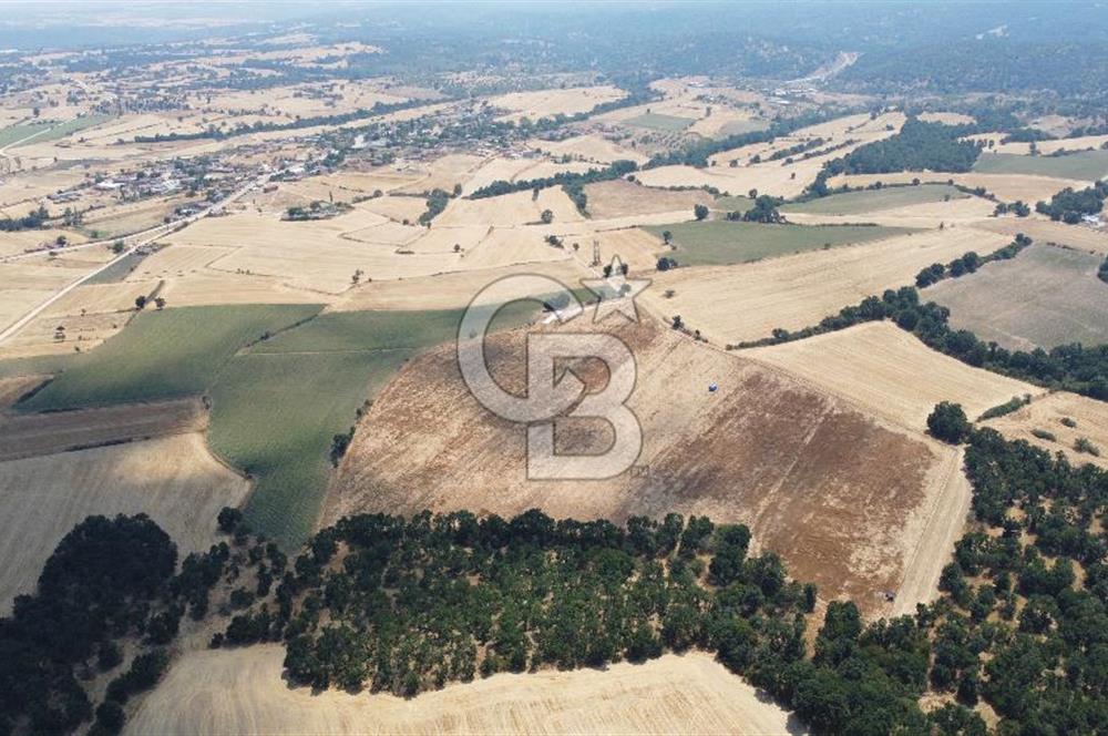 EDİRNE LALAPAŞA ÖMEROBA KÖYÜNDE 64.978 m² - SATILIK TARLA