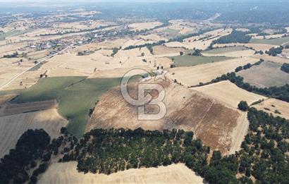 EDİRNE LALAPAŞA ÖMEROBA KÖYÜNDE 64.978 m² - SATILIK TARLA