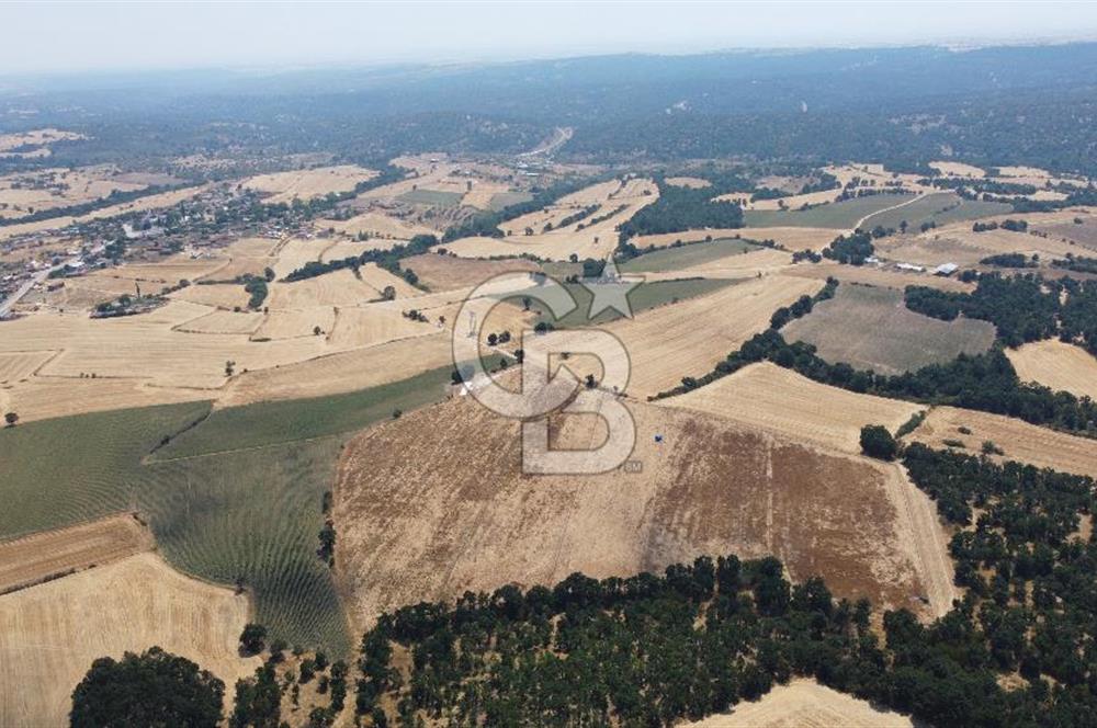EDİRNE LALAPAŞA ÖMEROBA KÖYÜNDE 64.978 m² - SATILIK TARLA