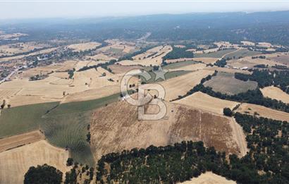 EDİRNE LALAPAŞA ÖMEROBA KÖYÜNDE 64.978 m² - SATILIK TARLA