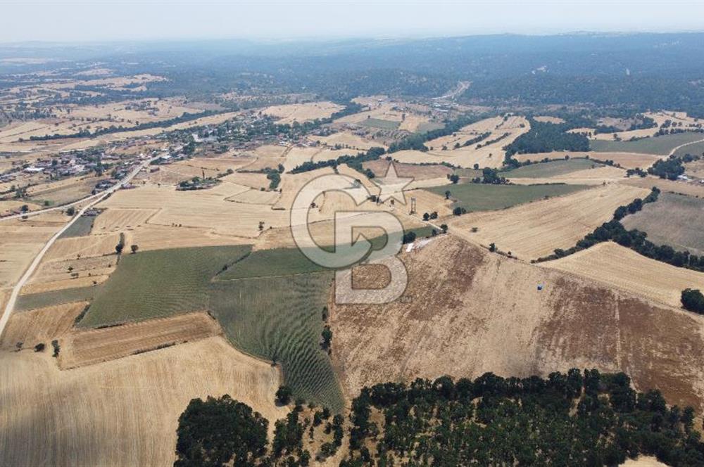 EDİRNE LALAPAŞA ÖMEROBA KÖYÜNDE 64.978 m² - SATILIK TARLA
