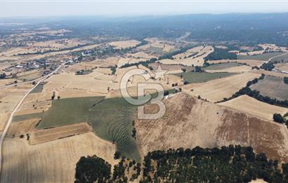 EDİRNE LALAPAŞA ÖMEROBA KÖYÜNDE 64.978 m² - SATILIK TARLA