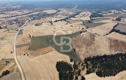 EDİRNE LALAPAŞA ÖMEROBA KÖYÜNDE 64.978 m² - SATILIK TARLA