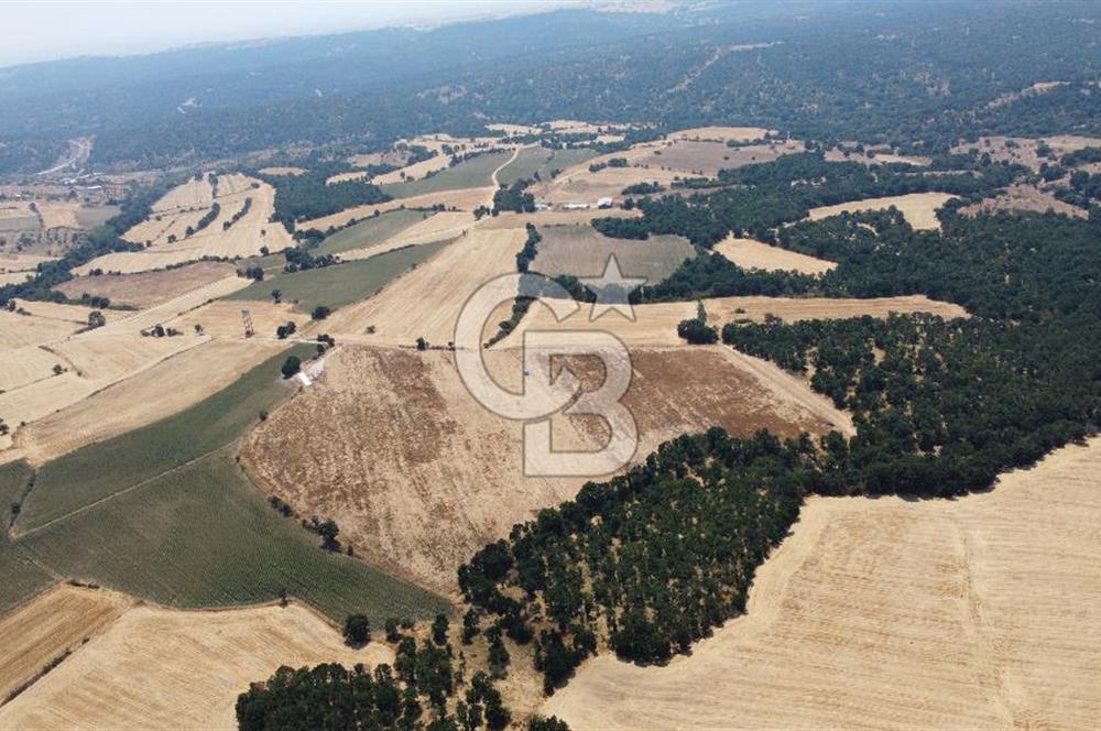 EDİRNE LALAPAŞA ÖMEROBA KÖYÜNDE 64.978 m² - SATILIK TARLA