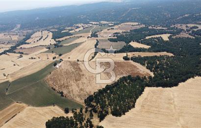 EDİRNE LALAPAŞA ÖMEROBA KÖYÜNDE 64.978 m² - SATILIK TARLA
