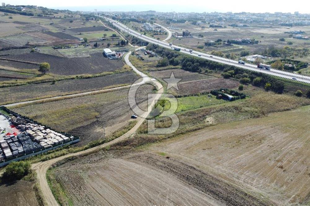 BÜYÜKÇEKMECE CELALİYE'DE 277 m² SATILIK ARSA -SINIRLARI ÇEVRİLİ