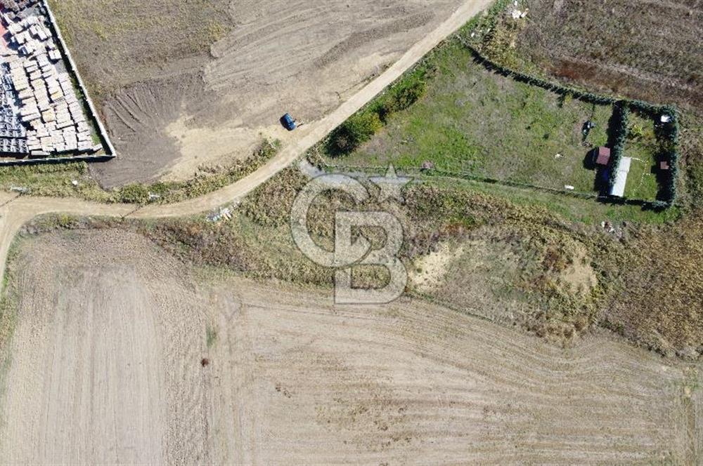 BÜYÜKÇEKMECE CELALİYE'DE 277 m² SATILIK ARSA -SINIRLARI ÇEVRİLİ