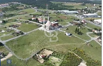 Taşoluk'ta Kesinti görmüş Yatırımlık Arsa