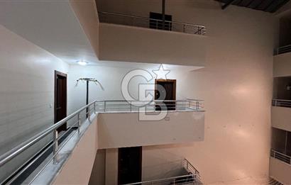 BÜYÜKÇEKMECE PALMİYE MEYDANI'NDA SIFIR DUBLEKS DAİRE