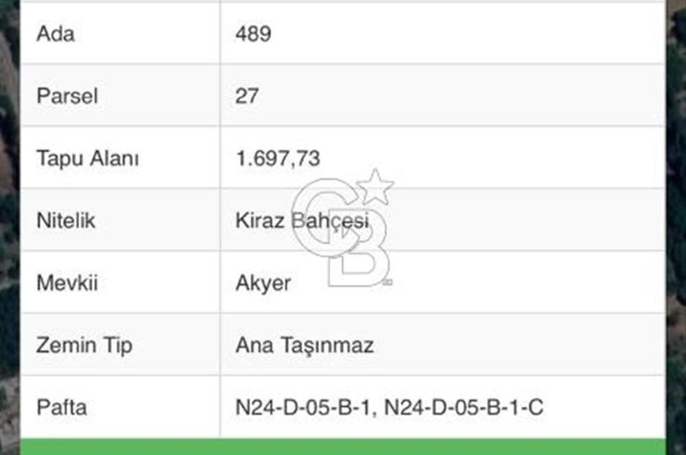 KORKUTELİ YEŞİLYAYLA DA YAPI KAYIT BELGELİ KİRAZ BAHÇESİ