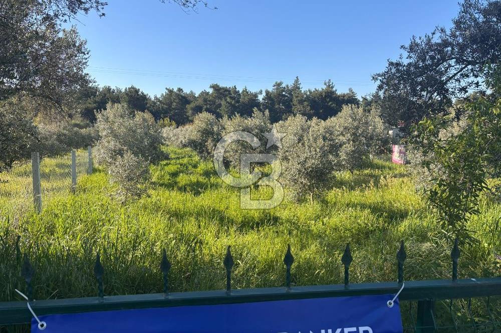 DEMİRCİ MAHALLESİNDE HUZUR DOLU YATIRIM FIRSATI!