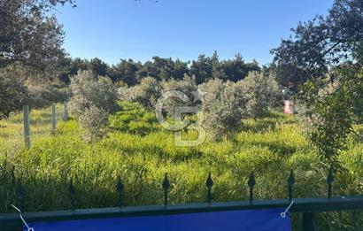 DEMİRCİ MAHALLESİNDE HUZUR DOLU YATIRIM FIRSATI!