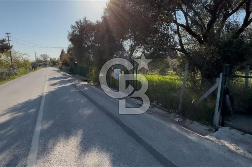 ALTINOLUK'TA KÖŞE PARSEL TEK TAPULU KONUT İMARLI ARSA