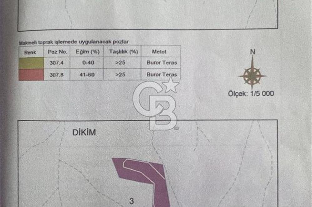 Kemalpaşa Yukarı Kızılca Mevkinde 15 Dönüm Badem Arazisi