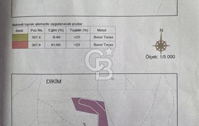 Kemalpaşa Yukarı Kızılca Mevkinde 15 Dönüm Badem Arazisi