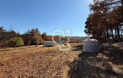 ÇANAKKALE MERKEZ DENİZGÖRÜNDÜ SATILIK BAĞEVİ VE ARAZİ