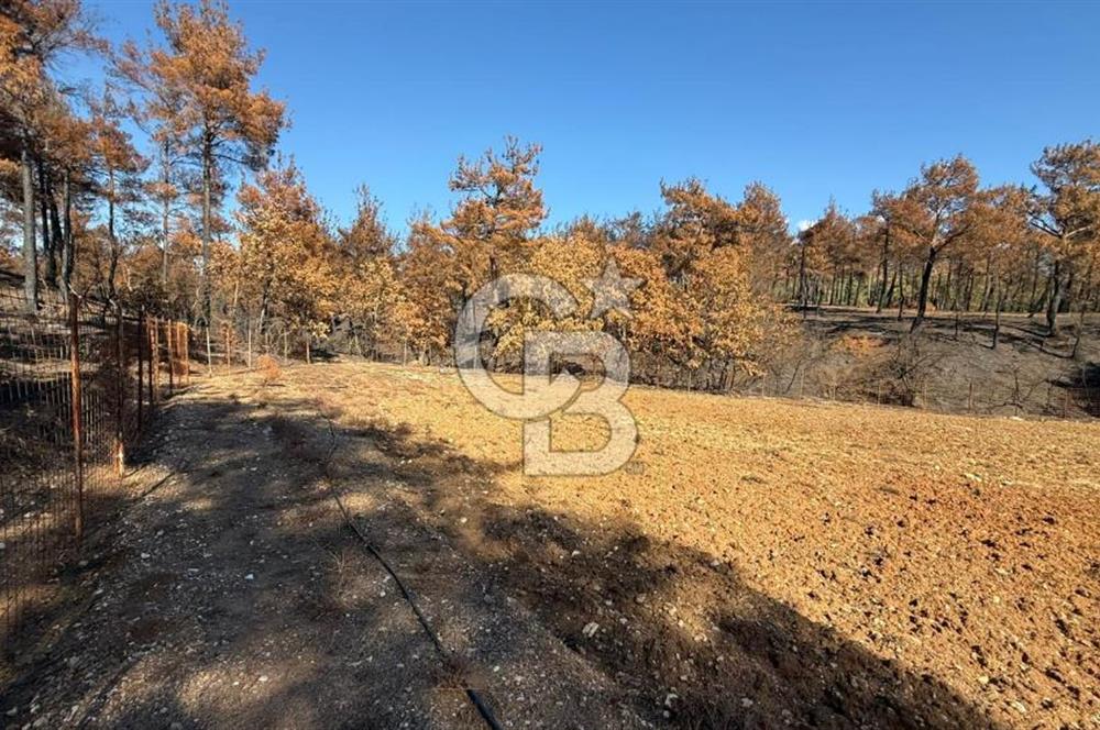 ÇANAKKALE MERKEZ DENİZGÖRÜNDÜ SATILIK BAĞEVİ VE ARAZİ