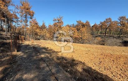 ÇANAKKALE MERKEZ DENİZGÖRÜNDÜ SATILIK BAĞEVİ VE ARAZİ