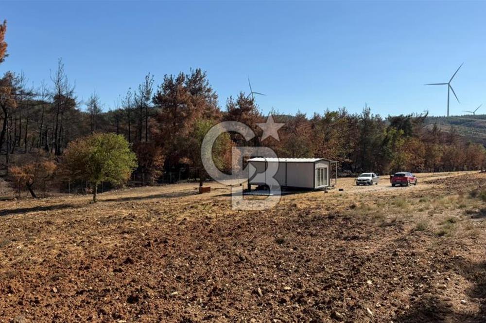 ÇANAKKALE MERKEZ DENİZGÖRÜNDÜ SATILIK BAĞEVİ VE ARAZİ