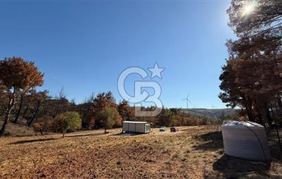ÇANAKKALE MERKEZ DENİZGÖRÜNDÜ SATILIK BAĞEVİ VE ARAZİ