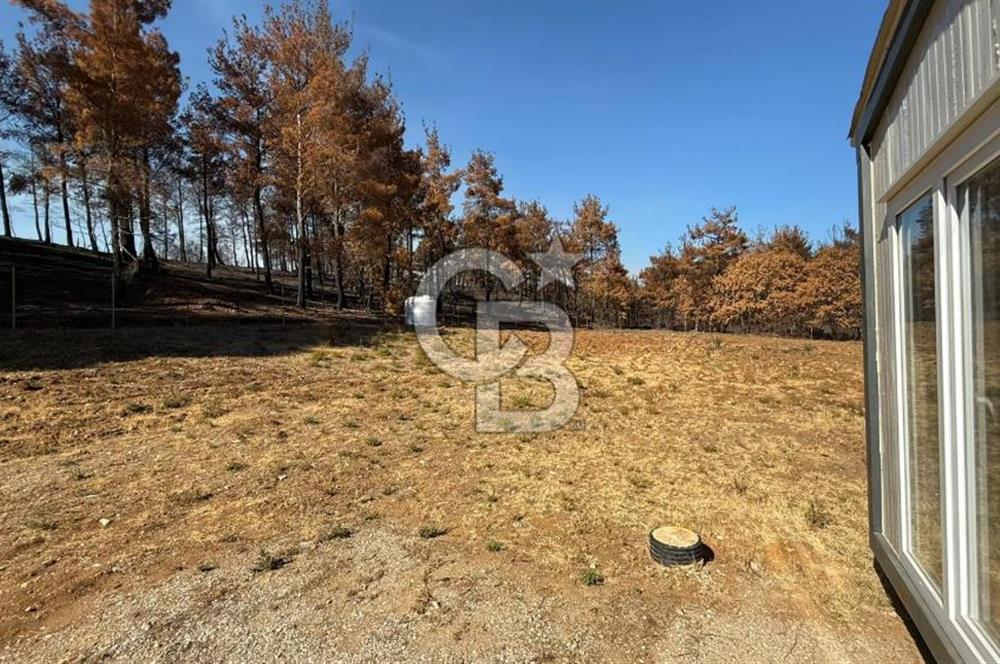 ÇANAKKALE MERKEZ DENİZGÖRÜNDÜ SATILIK BAĞEVİ VE ARAZİ