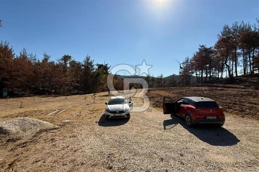 ÇANAKKALE MERKEZ DENİZGÖRÜNDÜ SATILIK BAĞEVİ VE ARAZİ