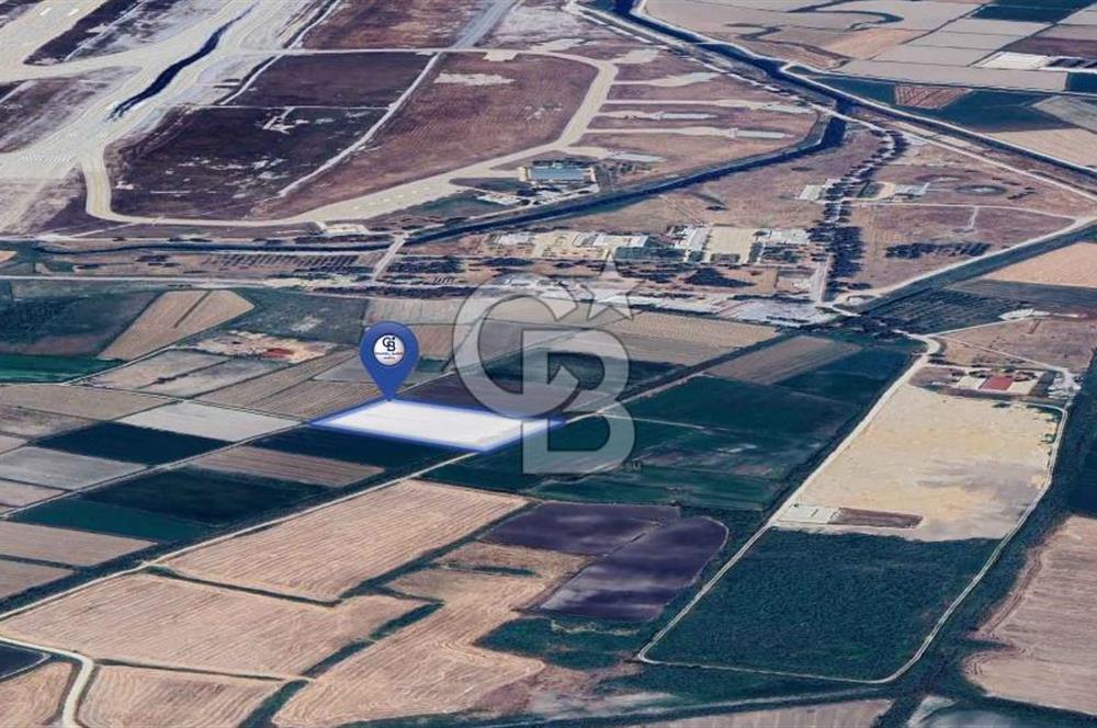 CB MARİNA'DAN KORU'DA BODRUM HAVALİMANI'NA KOMŞU SATILIK TARLA
