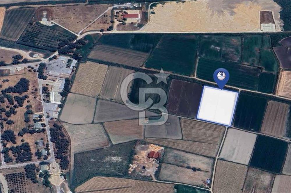 CB MARİNA'DAN KORU'DA BODRUM HAVALİMANI'NA KOMŞU SATILIK TARLA