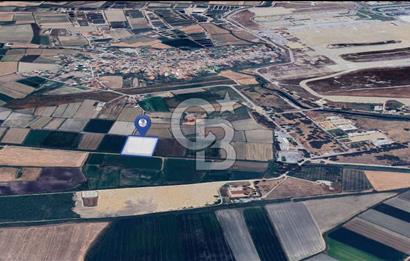 CB MARİNA'DAN KORU'DA BODRUM HAVALİMANI'NA KOMŞU SATILIK TARLA