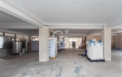 Bornova Karacaoğlan Mh.4 Katlı Üretim Tesisine Uygun Satılık Komple Bina