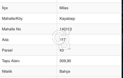 MİLAS KAYABAŞI KÖK TAPU BAĞ EVİ YAPILABİLEN KUPON ARSA