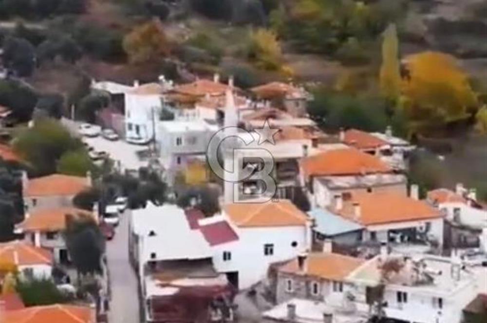 MİLAS KAYABAŞI KÖK TAPU BAĞ EVİ YAPILABİLEN KUPON ARSA