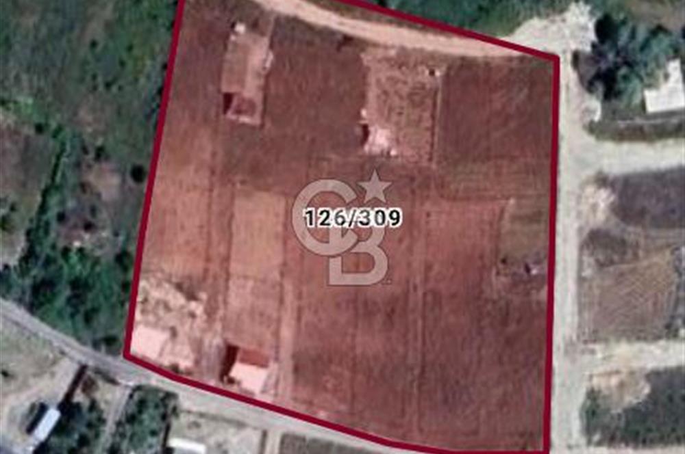 Memlik te  Satılık  hobi bahçesi 