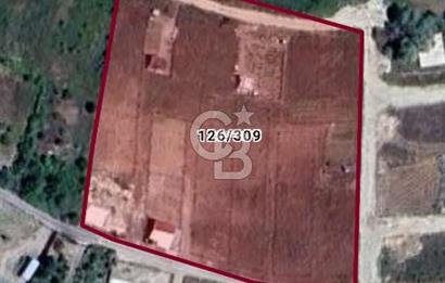 Memlik te  Satılık  hobi bahçesi 