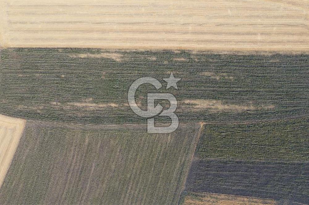 KIRKLARELİ LÜLEBURGAZ AKÇAKÖY KÖYÜ'NDE 47.050 m² SATILIK TARLA