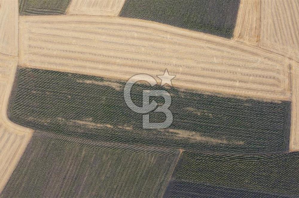 KIRKLARELİ LÜLEBURGAZ AKÇAKÖY KÖYÜ'NDE 47.050 m² SATILIK TARLA