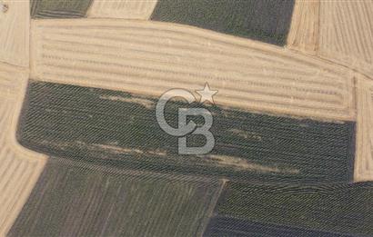 KIRKLARELİ LÜLEBURGAZ AKÇAKÖY KÖYÜ'NDE 47.050 m² SATILIK TARLA
