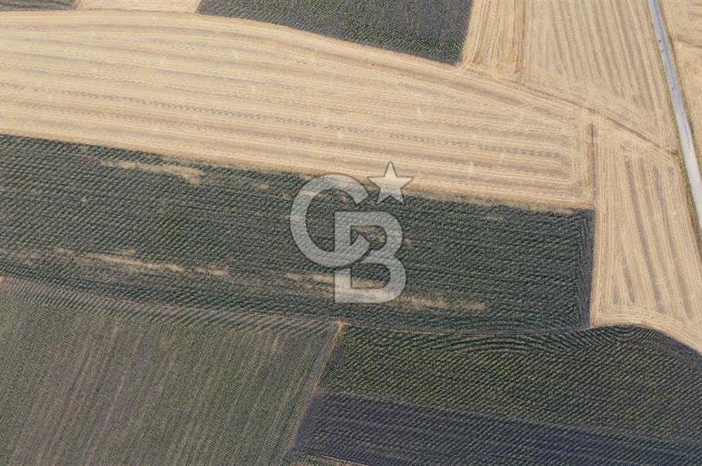 KIRKLARELİ LÜLEBURGAZ AKÇAKÖY KÖYÜ'NDE 47.050 m² SATILIK TARLA